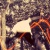 Profile picture of Brayanzhitho Tlv