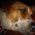 Profile picture of Estéban