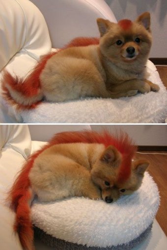 Firefox 2.0