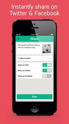 Vine-for-iPhone1