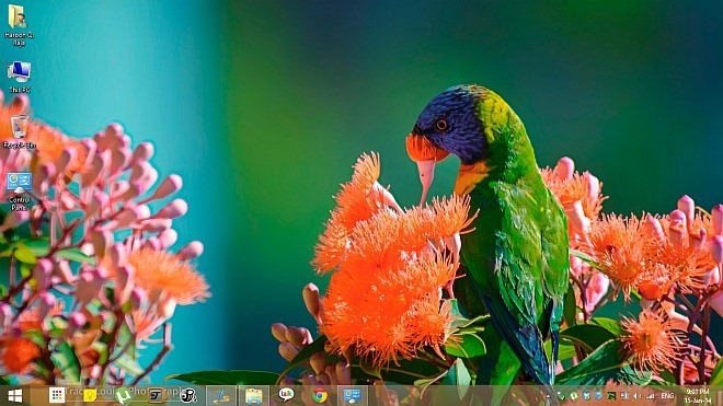 Rainbow of Birds Theme for Windows 8.1